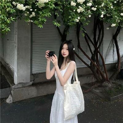 神秘破坏客