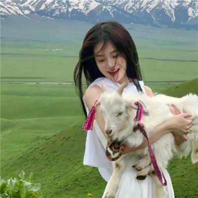 终结者3:机器的崛起